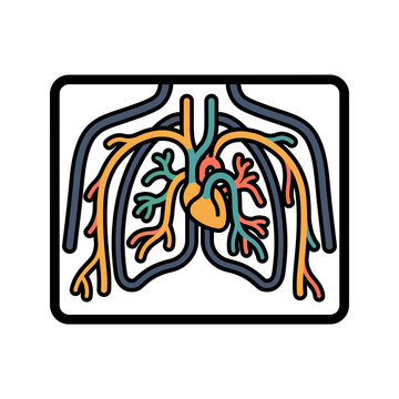Blood Vessel Angiography Scan Icon for Vascular Care