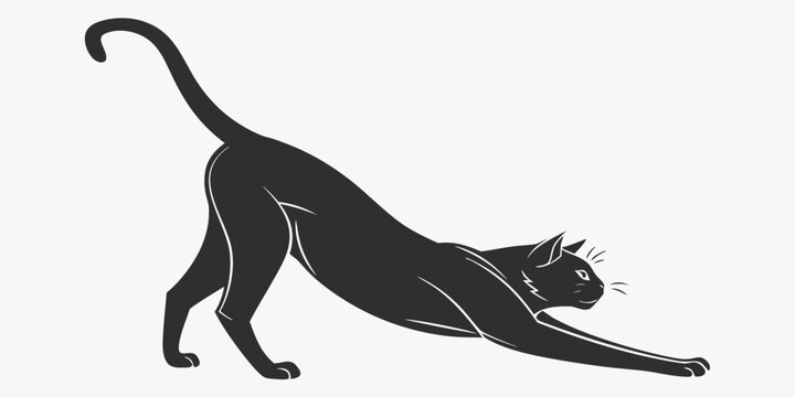 Black silhouette of a cat stretching in a dynamic arched pose feline arched back