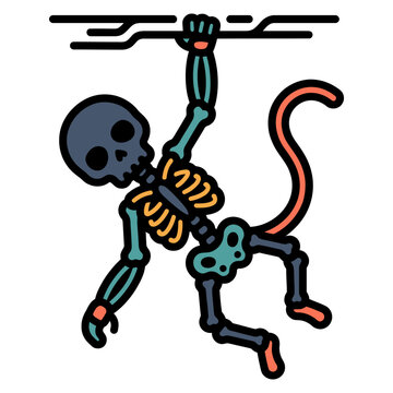 Monkey Primate Skeleton X-Ray Icon for Exotic Vet