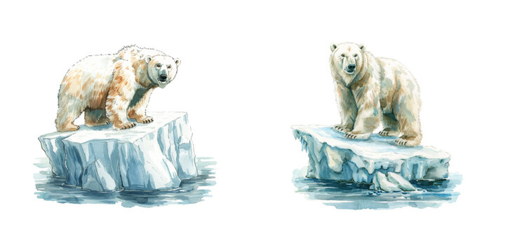polar bear on iceberg watercolor vector illustration