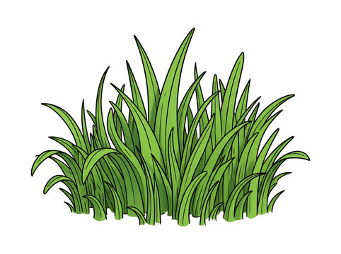 Green vibrant simple grass vector tuft on white background
