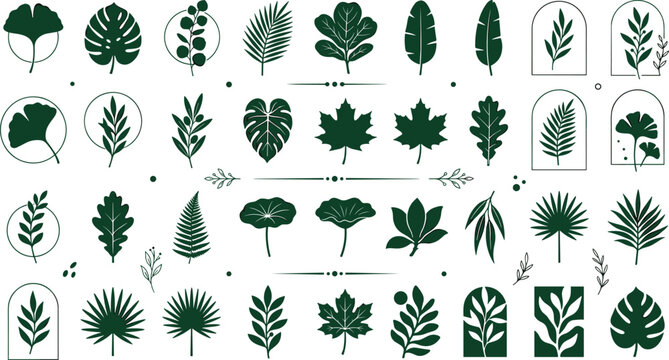 Minimalist botanical leaf silhouettes vector set featuring monstera ginkgo maple and palm icons inside line frames for modern brand identity cosmetic packaging textile design