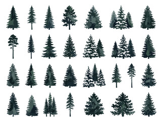 Obraz premium Collection of Evergreen Pine Trees, Pine Forest Elements, Nature Graphics