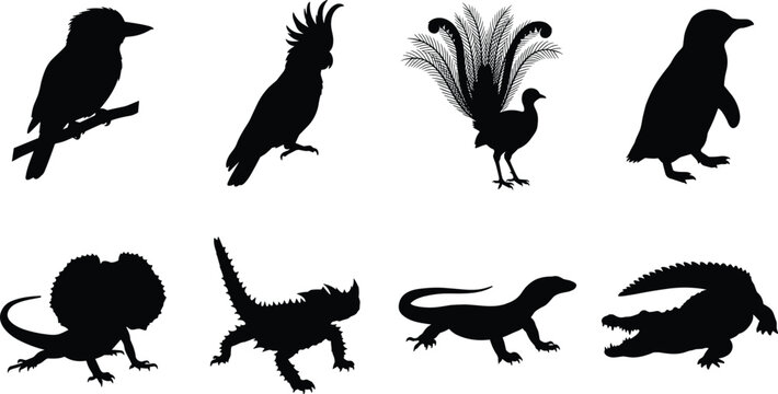 Black silhouette vector set of Australian native wildlife featuring exotic birds reptiles cockatoo crocodile and frilled lizard