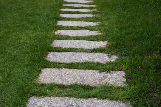 Stone stepping path cutting through lush green grass in garden
