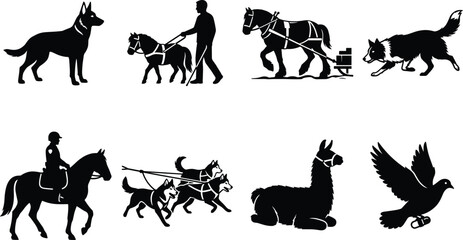 Black vector silhouette collection of various working and service animals including dogs horses llama and carrier pigeon assisting humans © Rokon
