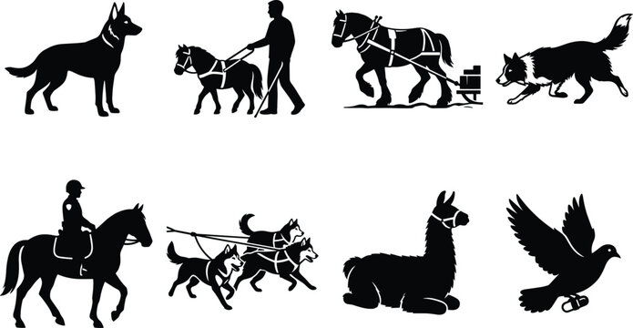 Black vector silhouette collection of various working and service animals including dogs horses llama and carrier pigeon assisting humans