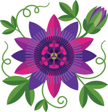 Flat Vector Illustration of Passiflora Passion Flower Vine with Tendrils Modern Botanical Art