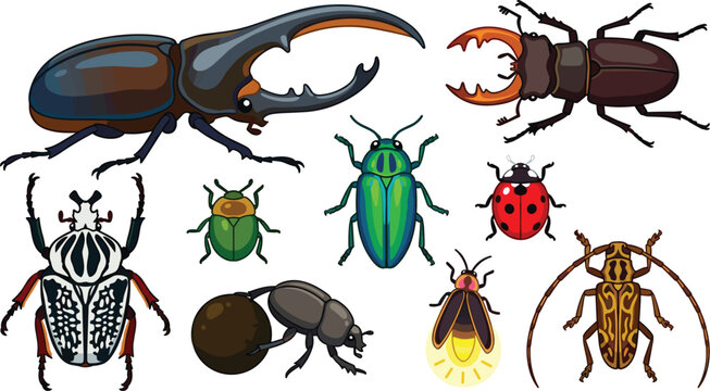 Detailed Beetle Vector Icon Set Featuring Hercules Beetle, Stag Beetle, Ladybug, Dung Beetle, and Firefly for Nature Designs