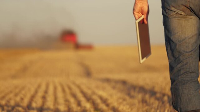 farmer working in wheat field, combine harvester ploughing in wheat field, agriculture tablet, combining traditional and modern methods, robust farming solutions, efficient use of machinery for