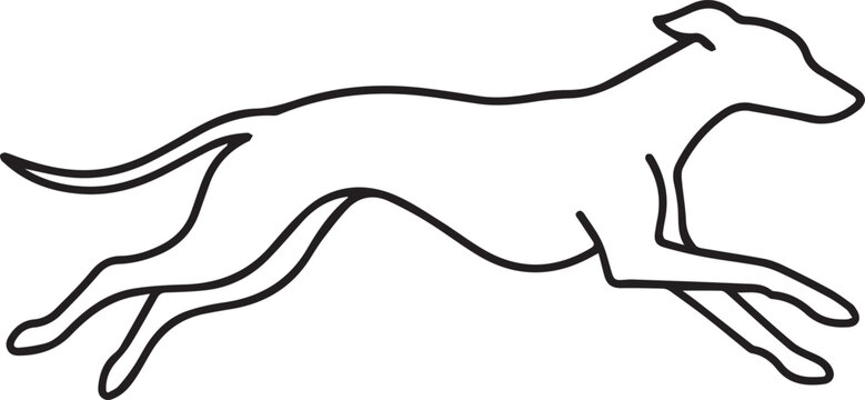 Running Greyhound Whippet Dog Minimalist Line Art Drawing Outline Sketch For Logo Design Animal Brand Identity Athletic Sports Graphic Professional Illustration