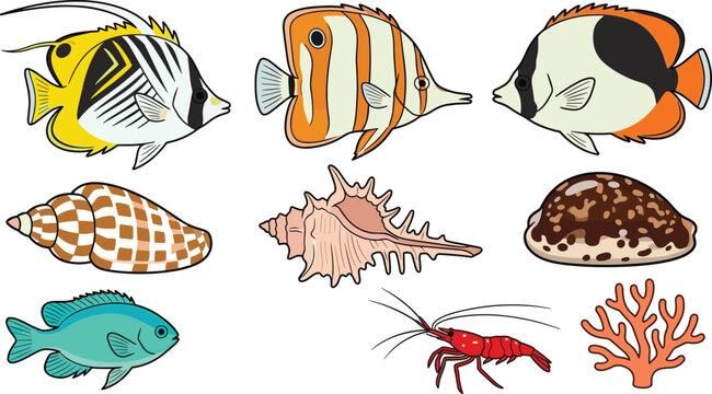 Tropical Marine Life Collection Featuring Butterflyfish, Reef Fish, Sea Shells, Sea Cucumber, Shrimp, Coral, and Ocean Wildlife Vector Illustration Set