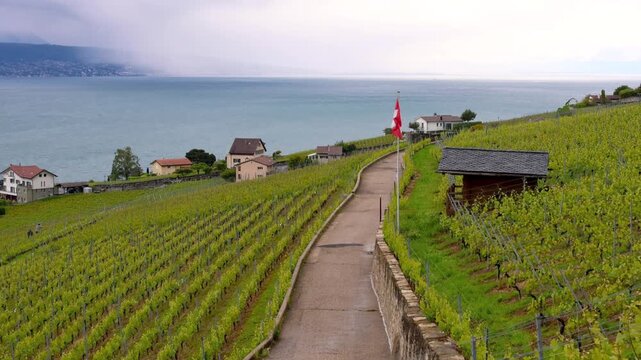 Scenic Lavaux vineyard terraces overlooking Lake Geneva