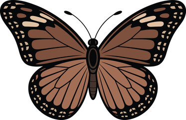 Fototapeta premium Beautiful colorful butterfly animal vector on white background.
