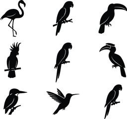 Tropical exotic birds black silhouette icons set including flamingo parrot toucan cockatoo hornbill and hummingbird vector illustration © MSTRAZINA