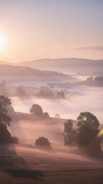misty sunrise over rolling hills with trees and fog