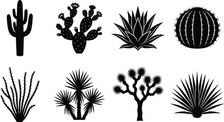 Collection of hand-drawn desert cactus silhouettes featuring various succulents, agave plants, and exotic arid landscape vegetation set © MdSaiful
