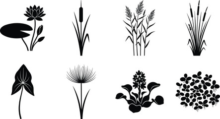 Set of aquatic and marsh plant silhouettes featuring water lilies, reeds, and river vegetation for nature design © MdSaiful