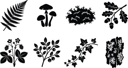 Set of black and white forest plant and nature icons featuring fern mushroom moss oak berry foliage © MdSaiful
