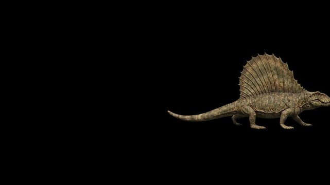 High-contrast 3D render of a Spinosaurus aegyptiacus predatory dinosaur walking into frame, isolated against a solid pitch-black background. Perfect for cinematic dinosaur teasers, dramatic historical