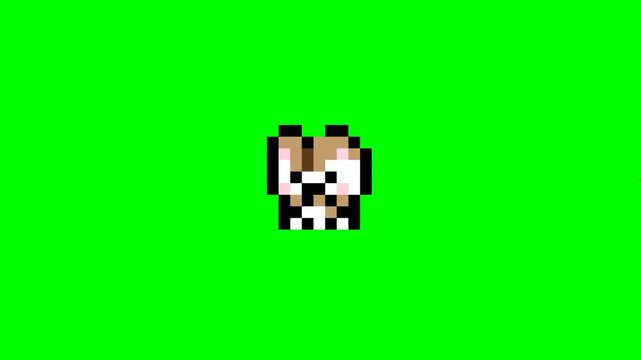 Cute pixel art hamster character animation on a green screen background.
