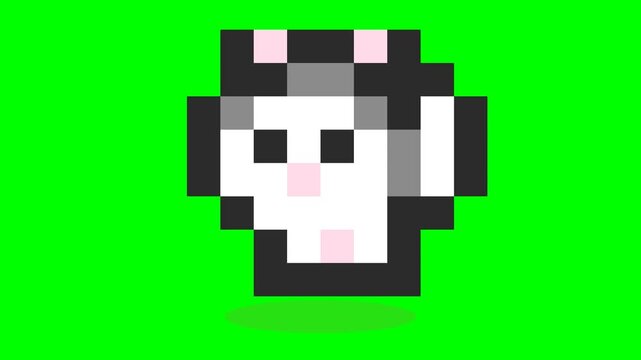 Pixel Art Cat Face Animation on Green Screen Background.