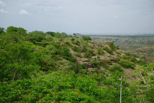 Hilltop ravine view with orange gulmohar blossoms and ruined fort walls