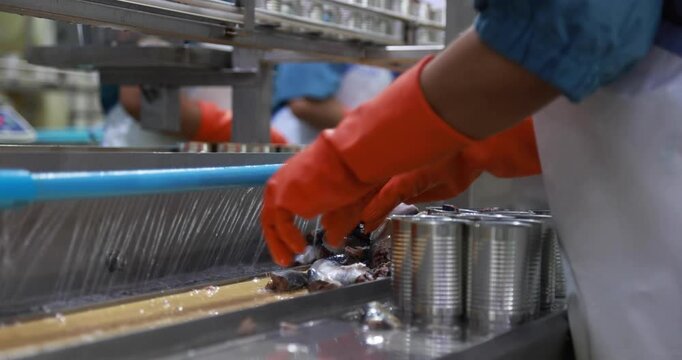 Food manufacturing industry. Worker working in canned food factory. Food industry. Canned fish factory. Worker's hand holding sardine to cutting head. Worker in food processing production line.