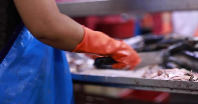 Food manufacturing industry. Worker working in canned food factory. Food industry. Canned fish factory. Worker's hand holding sardine to cutting head. Worker in food processing production line.
