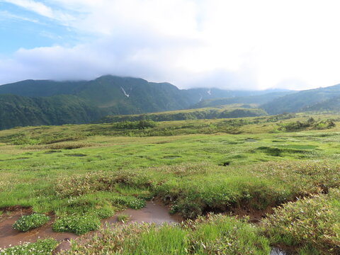 緑の木々が生えた山の景色