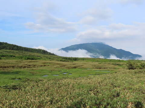 緑の木々が生えた山の景色