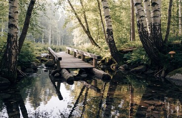 Wooden bridge over a calm stream in a sunny birch forest in Sweden © Bold Frame Media