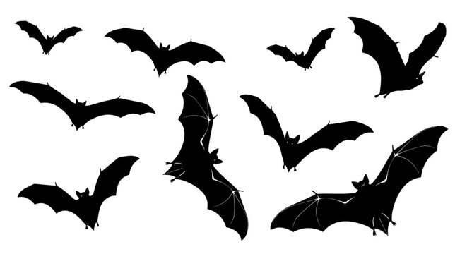 Group of dark bat silhouettes in flight against a white background with dynamic winged motion.