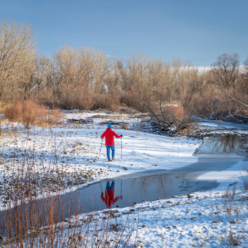 senior man is Nordic walking on through a riparian forest along the Poudre River in Colorado, cold winter scenery