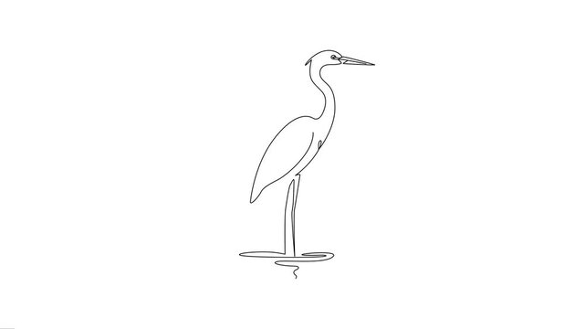 Continuous Line Art Animation of a Heron Standing in Water