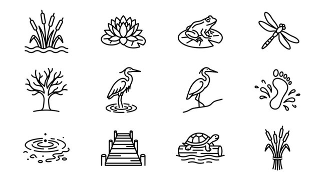 Collection of black and white nature illustrations on transparent background