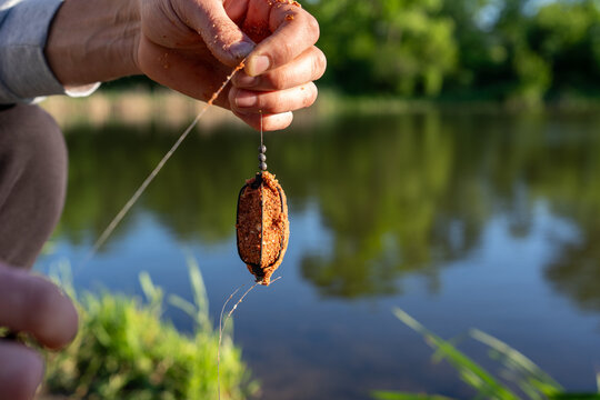 Close-up of a fisherman holding a method feeder packed with groundbait prepared for carp fishing beside a pond. Fishing rig with bait and weights ready to be cast into freshwater.