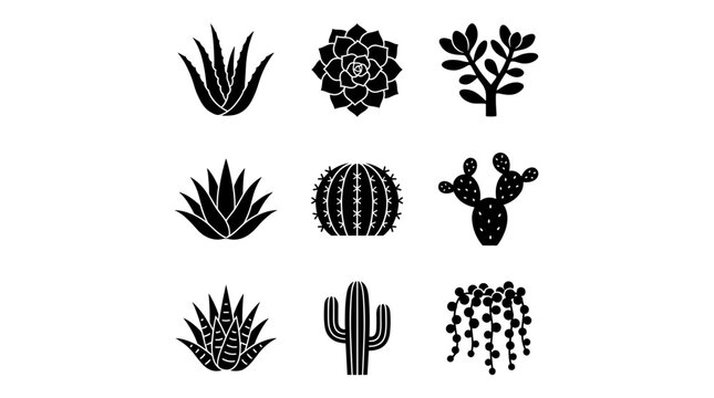 Minimalist black plant illustrations on transparent background with collection minimalist