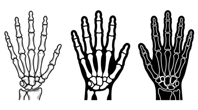 Three stylized vector icons of human hand skeletons on transparent background