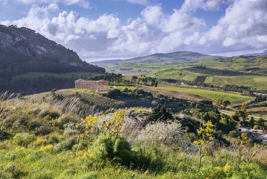 Spring landscape with the temple of Segesta, Calatafimi, Northwest, Sicily, Italy