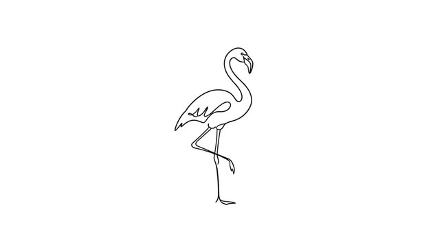 Minimalist continuous one line drawing of a graceful flamingo standing on one leg on white background.