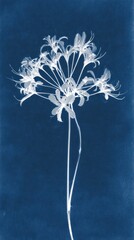 Obraz premium Elegant cyanotype of white flowers on blue, perfect for mobile wallpaper.