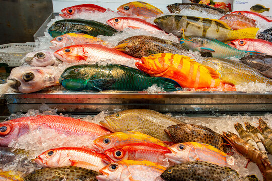 沖縄の市場に並ぶカラフルな鮮魚