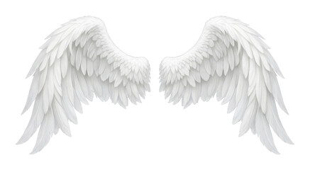 Fototapeta premium PNG Elegant white angel wings illustration.