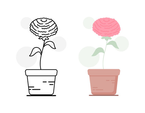 Ranunculus Flower in Pot Line Art and Flat Style Set