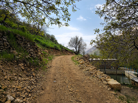 Rocky mountain dirt path bordered by dry stone walls, green hillside, budding trees, snow-capped peaks, and scattered clouds in a scenic spring valley
📍 Hawraman Takht, Kurdistan, Iran 
