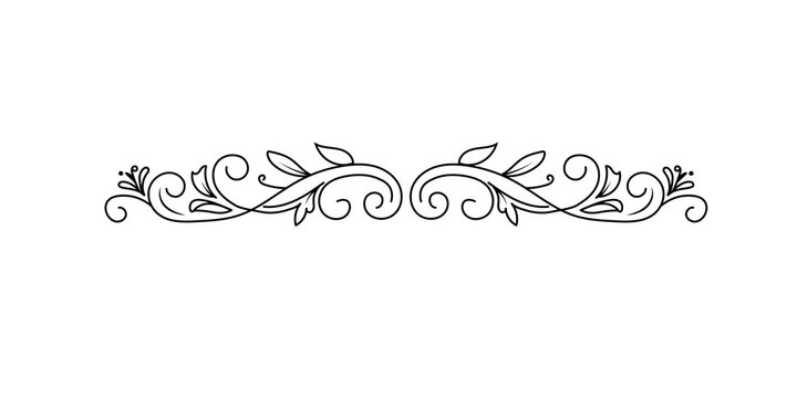 Elegant black line art decorative flourish divider with scrolls and leaves, symmetrical ornamental design isolated on transparent background