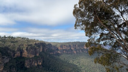 Fototapeta premium Panoramic View of Sandstone Cliffs and Dense Forest Valley Under Cloudy Sky