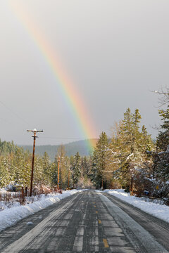 Winter rainbow over a snow-covered forest road in the Mount Adams area, Washington State, USA