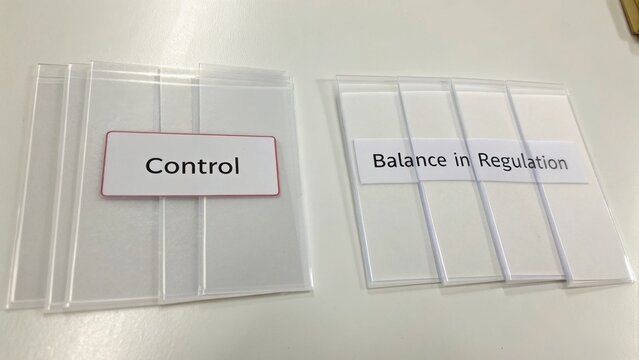 Control and Balance in Regulation: Visual Representation of Organizational Management and Compliance Strategies